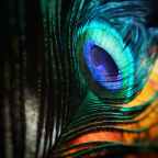 Ik dacht dat ik bijzonder was