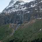 Hobbykippen, bergmarmotten en een olifant