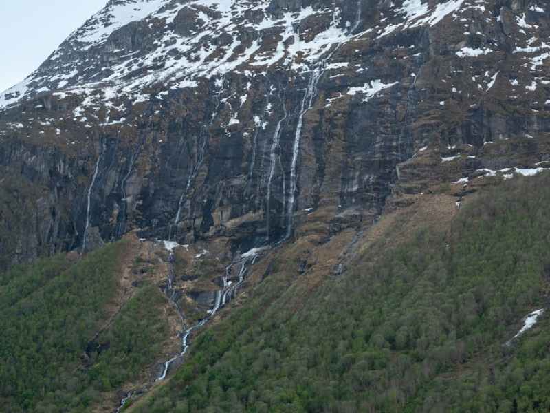 Hobbykippen, bergmarmotten en een olifant
