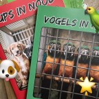 Boekpresentatie jeugddetective ‘Vogels in nood’