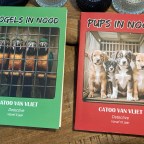 Drie schrijfjaren, twee boeken, een avontuur