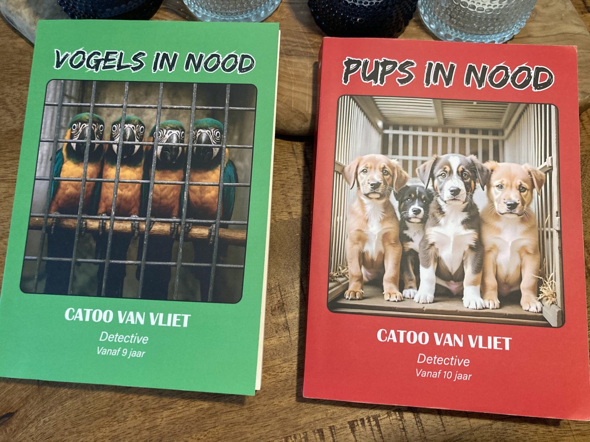Drie schrijfjaren, twee boeken, een avontuur